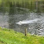 Haus Am Fischteich Feistritz ob Bleiburg