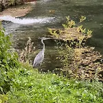Haus Am Fischteich Feistritz ob Bleiburg