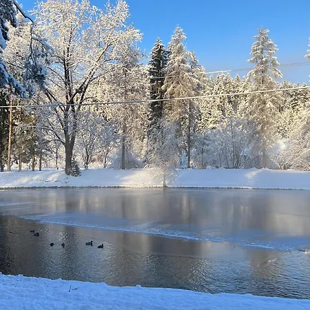 Haus Am Fischteich Feistritz ob Bleiburg