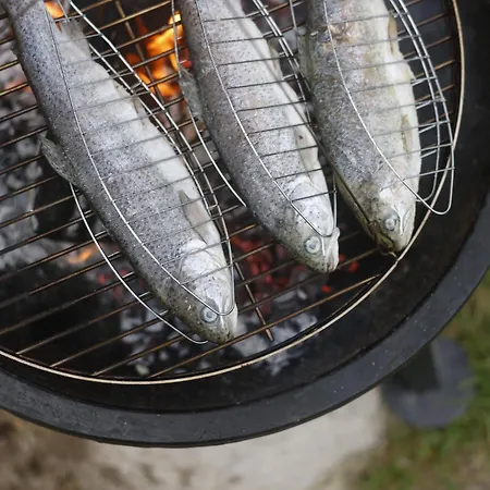 Haus Am Fischteich Apartament *