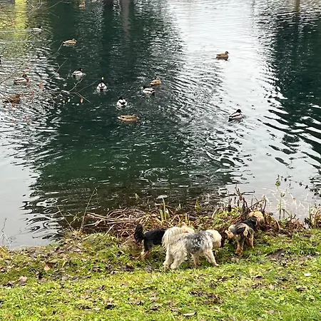 Daire Haus Am Fischteich *