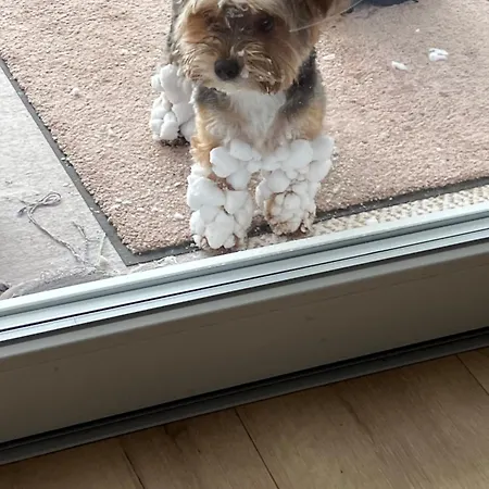 Apartament Haus Am Fischteich *