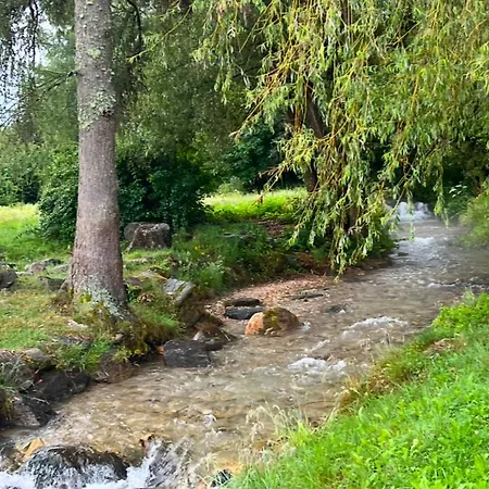 Daire Haus Am Fischteich