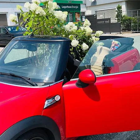 Apartament Haus Am Fischteich Feistritz ob Bleiburg