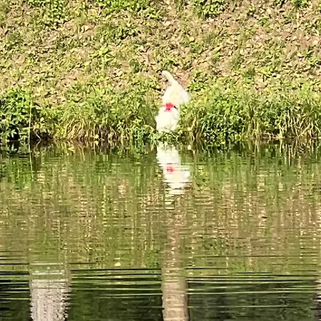 Haus Am Fischteich アパート