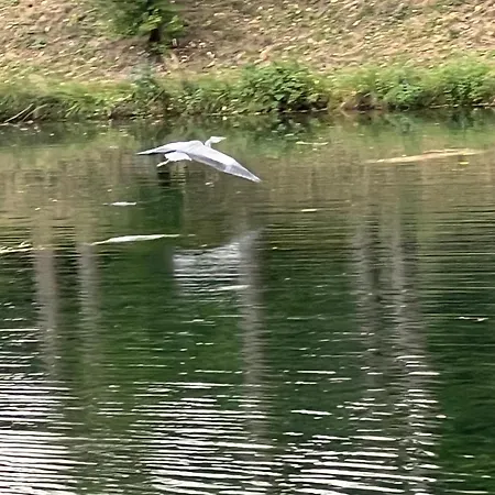 Daire Haus Am Fischteich