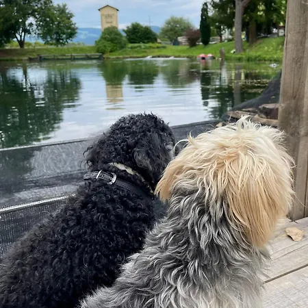 Haus Am Fischteich Daire *