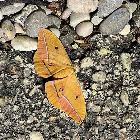 Haus Am Fischteich Daire Feistritz ob Bleiburg