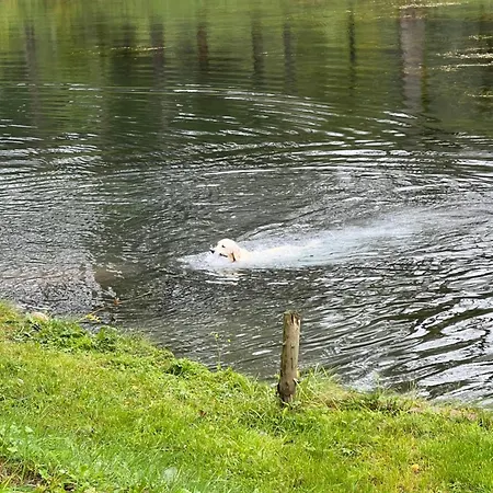 Haus Am Fischteich Feistritz ob Bleiburg