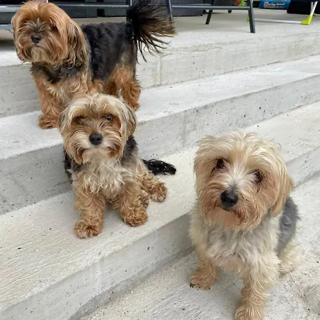 Haus Am Fischteich * Feistritz ob Bleiburg