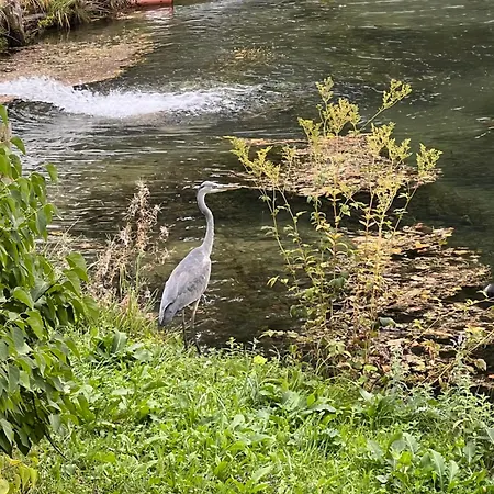 Haus Am Fischteich Feistritz ob Bleiburg