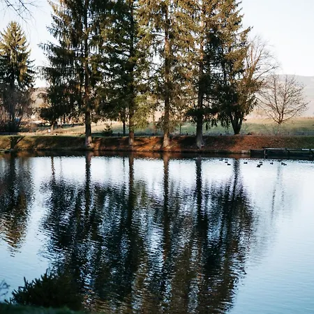 Apartment Haus Am Fischteich Feistritz ob Bleiburg