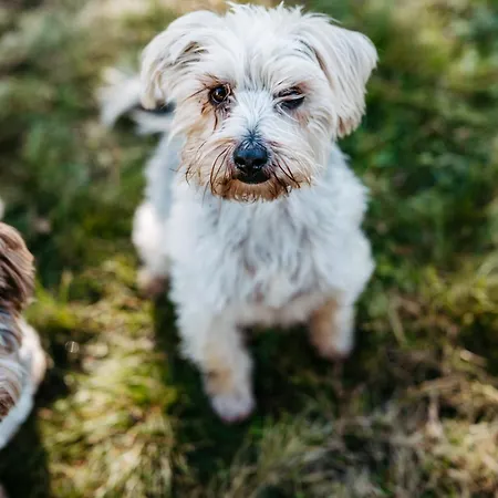 Daire Haus Am Fischteich