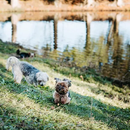 Daire Haus Am Fischteich *