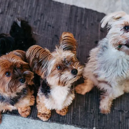 Haus Am Fischteich *