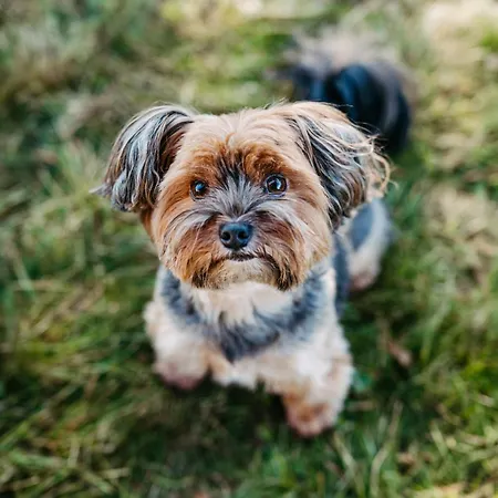 Haus Am Fischteich Apartament