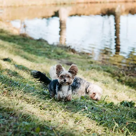 Daire Haus Am Fischteich *