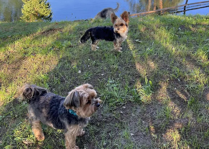 Apartment Haus Am Fischteich