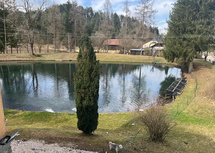 Apartment Haus Am Fischteich *