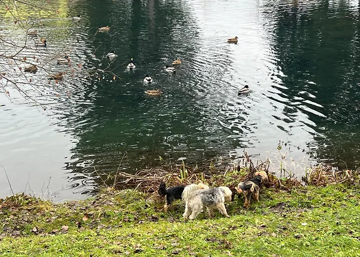 Apartment Haus Am Fischteich *