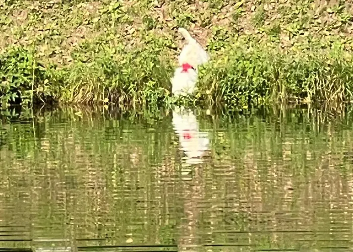 Haus Am Fischteich Apartment