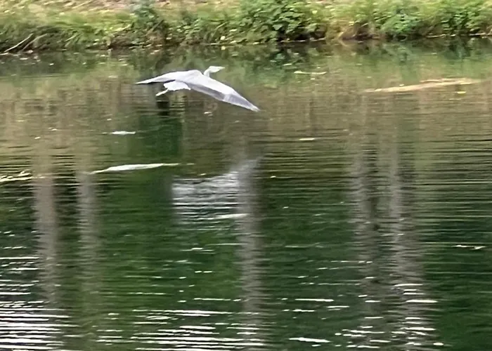 Apartment Haus Am Fischteich