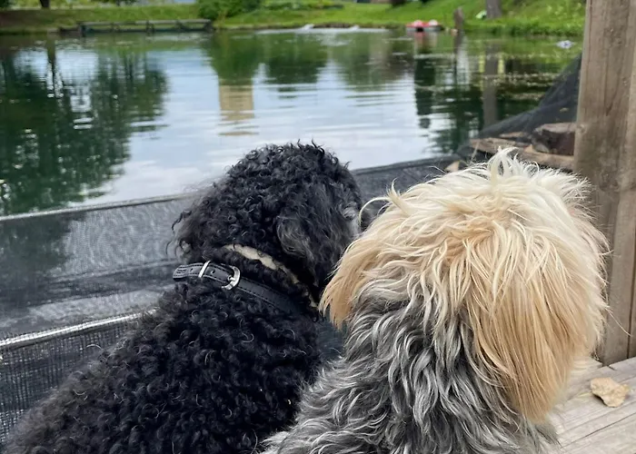 Haus Am Fischteich Апартаменты *