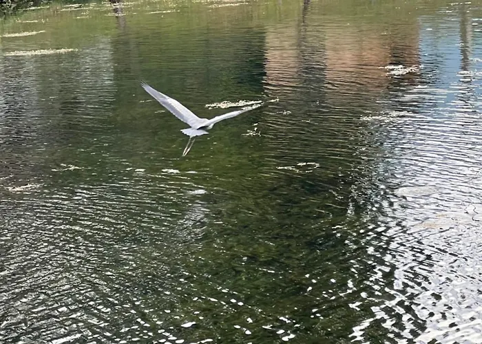 Apartment Haus Am Fischteich *