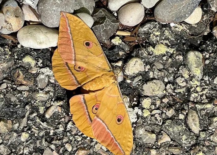 Haus Am Fischteich Apartment Feistritz ob Bleiburg