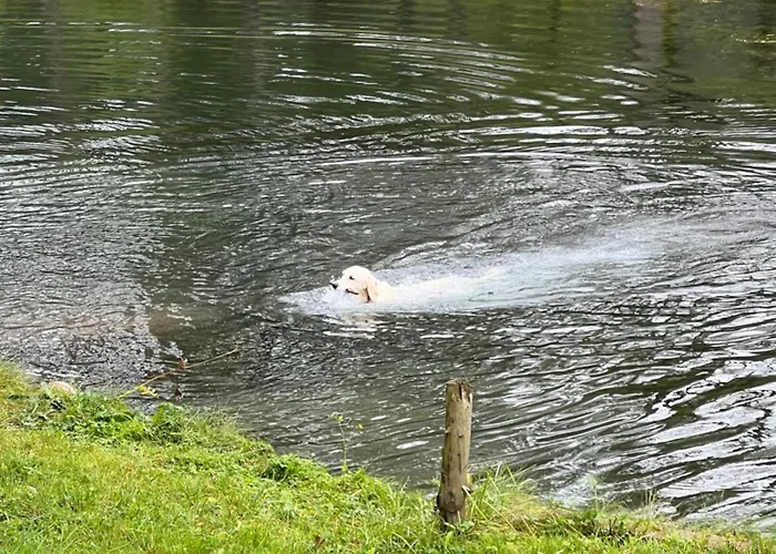 Haus Am Fischteich Feistritz ob Bleiburg
