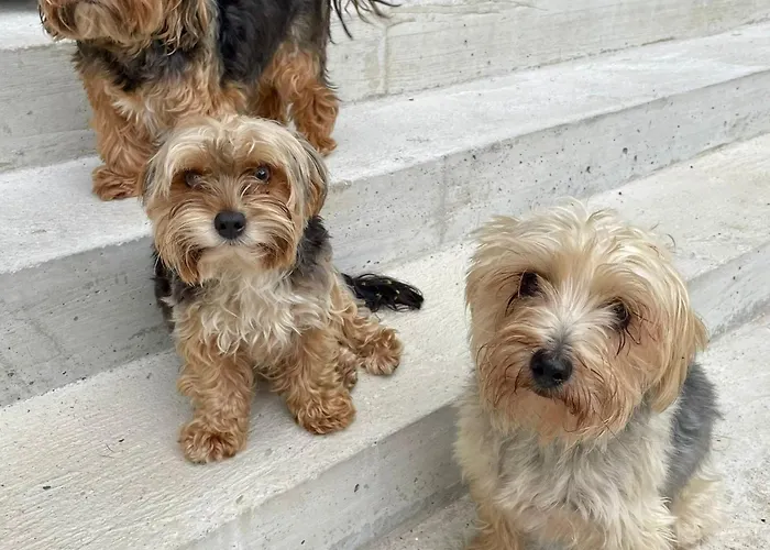 Haus Am Fischteich * Feistritz ob Bleiburg