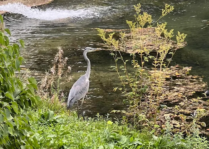 Haus Am Fischteich Feistritz ob Bleiburg